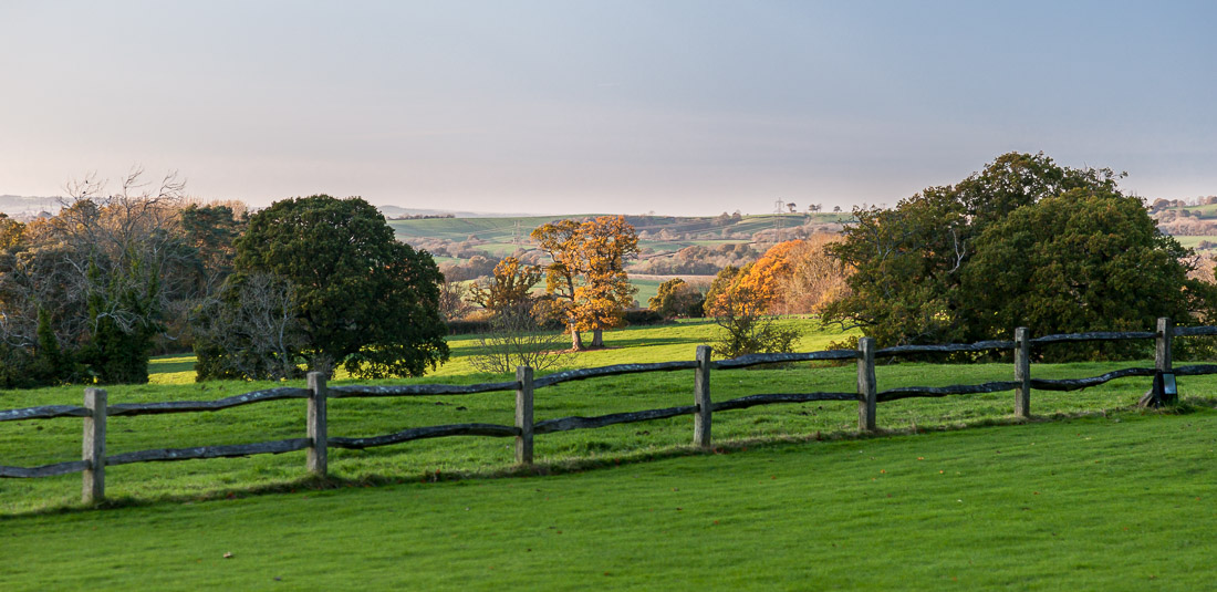 Afternoon view from Combe House