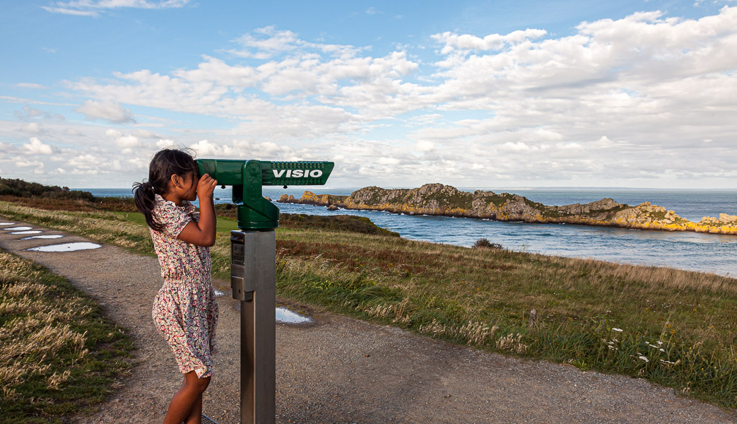 Checking the birds at Ile des Landes
