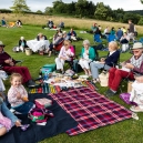 Picnic at the meadow