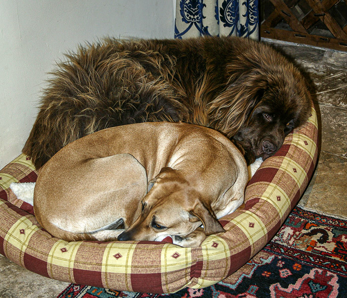 Cuddling up at the entrance hall