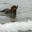 Playing in the sea. Winter 2004