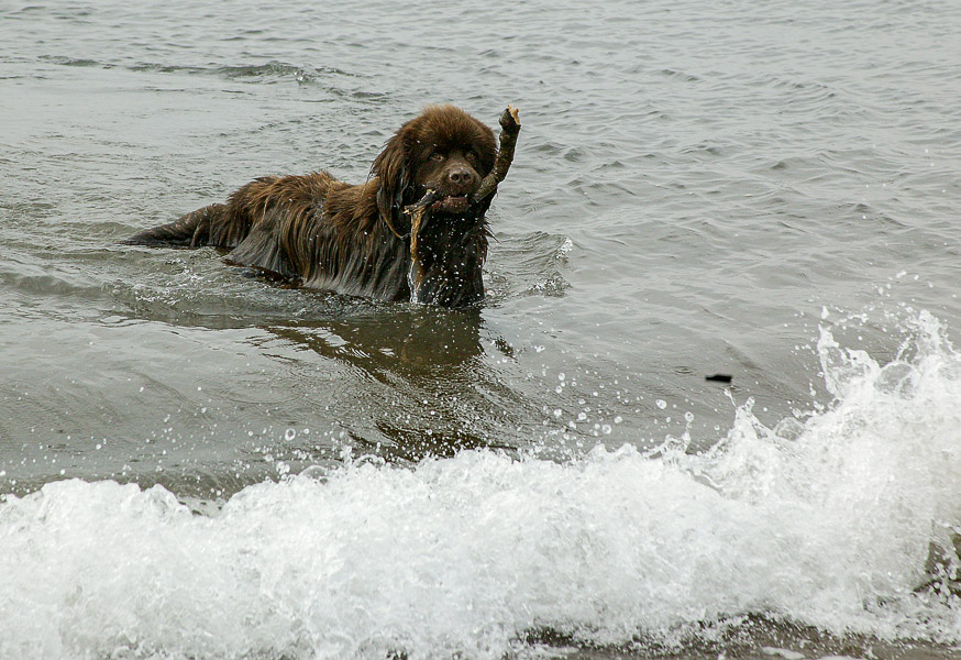 Playing in the sea. Winter 2004