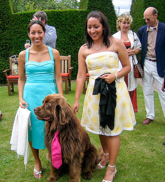 Susanne, Cat and Chucky after an outdoor opera at Knightstone. June 2004