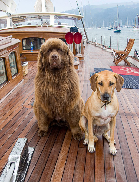 On board Adele