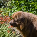 Sniffing the flowers. Summer 2007