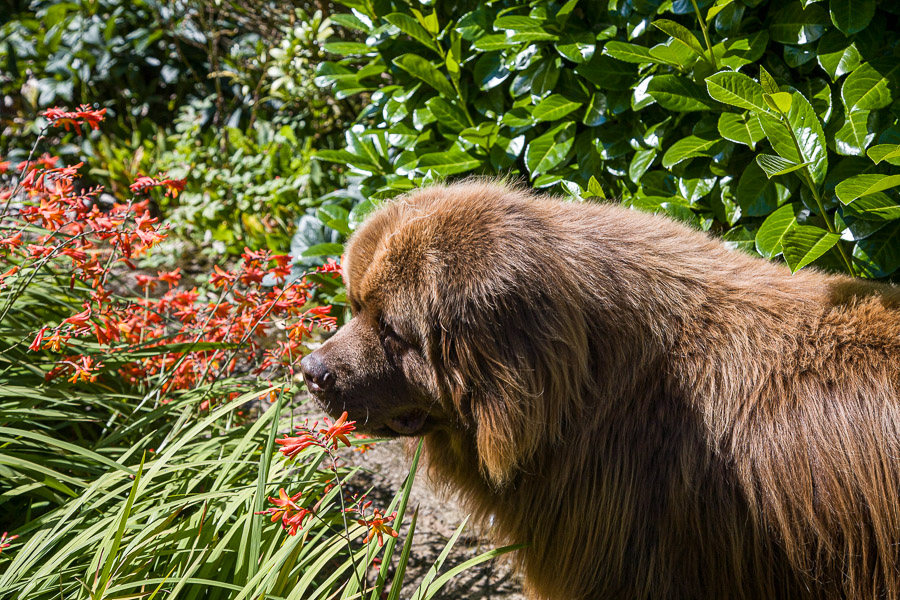 Sniffing the flowers. Summer 2007