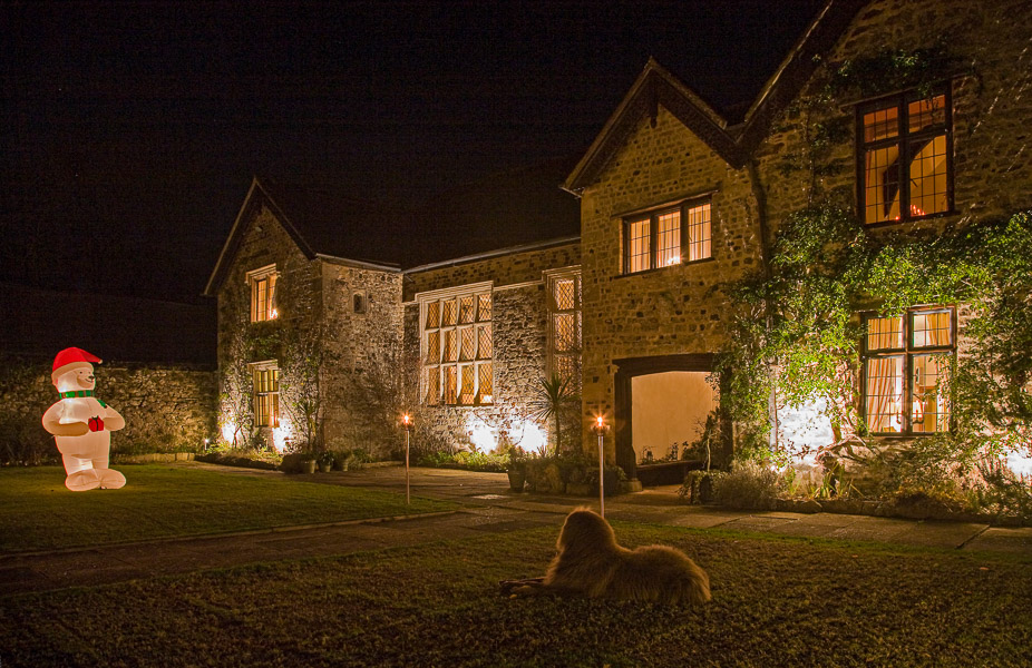 Guarding the house at Christmas