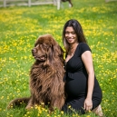 Bump and Shower Parties