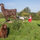 With Letizia and her dad, Siggi, and Jan, the llama. Autumn 2009