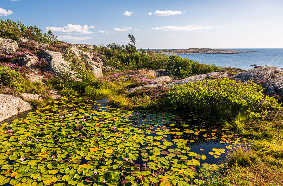 Swedish West Coast