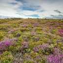 011-200819-Exmoor-008-JE