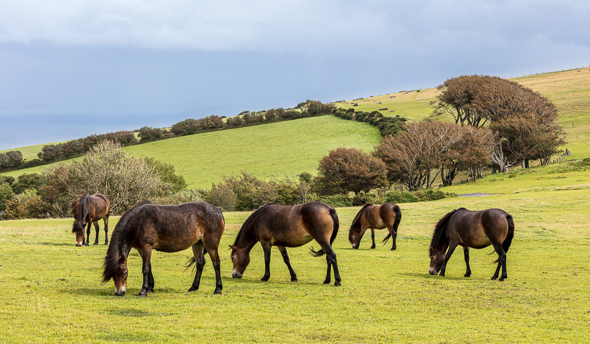 016-200821-Exmoor-201-JE