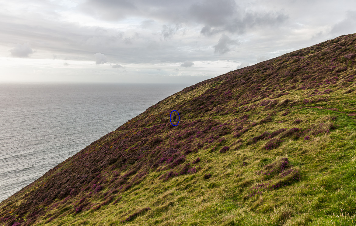 017-200821-Exmoor-126-JE-Edit