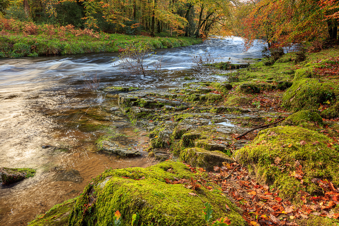 River Dart near Holne Chase later in the autumn (beginning November).