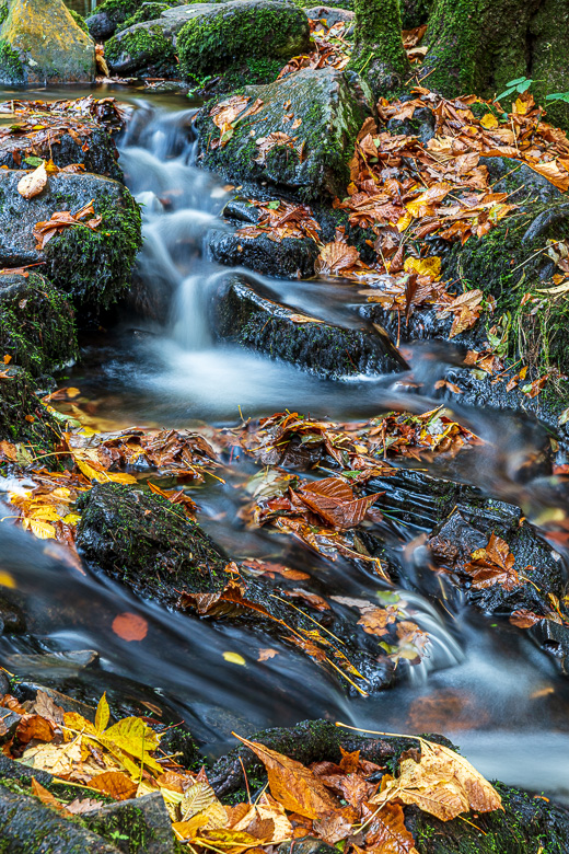 A detail of the river Teign. 8 seconds exposure