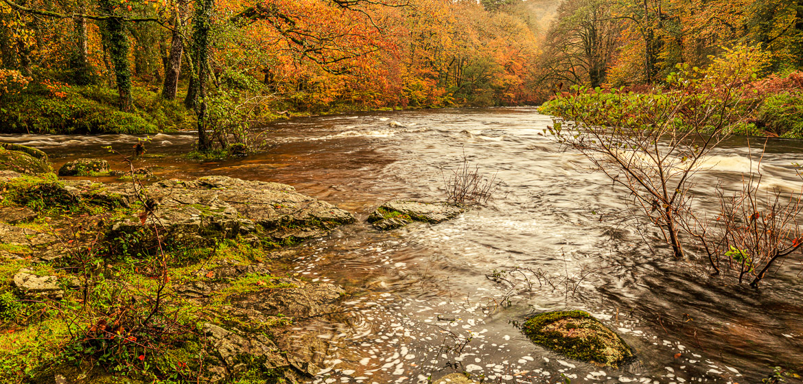 River Dart in November with pronounced yellows and reds.