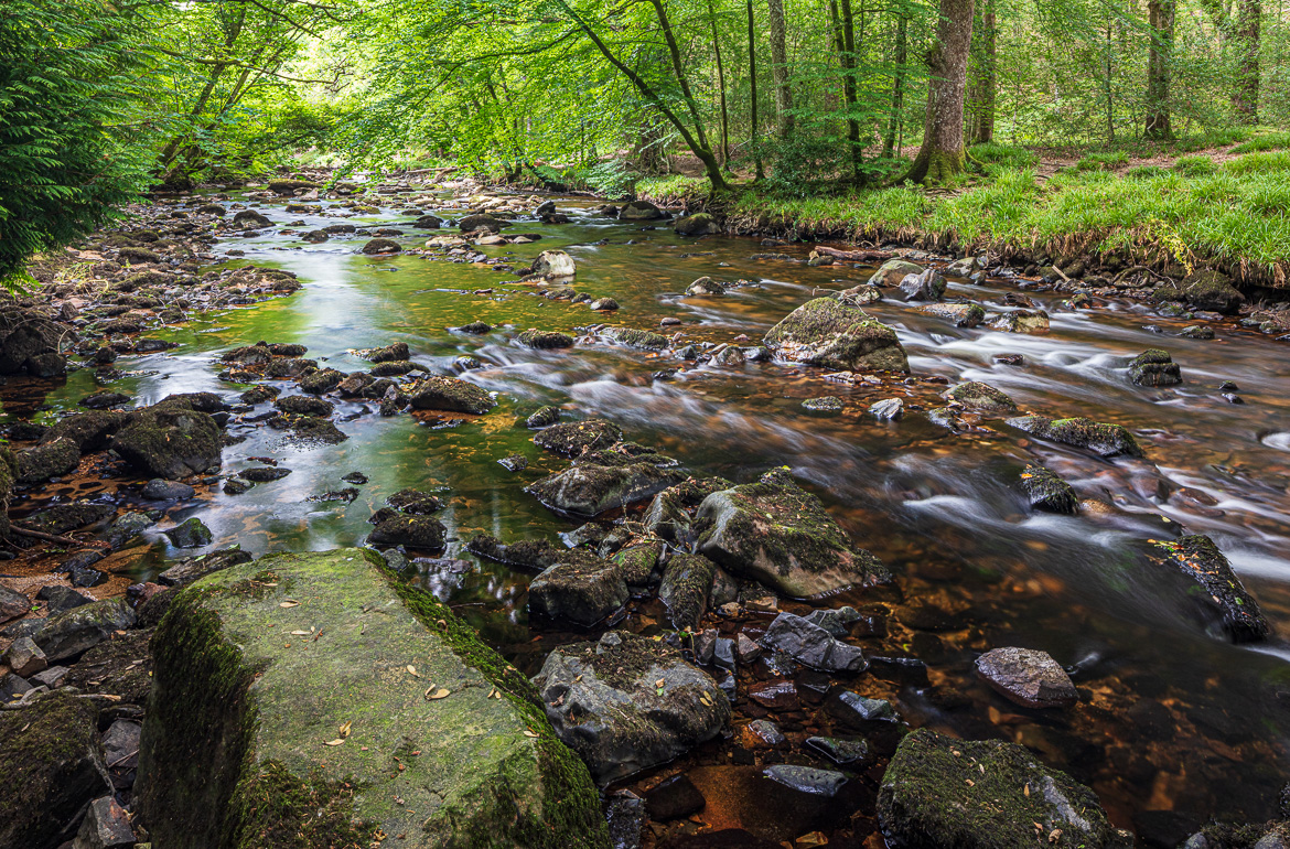 River Teign on a nice summer’s day.