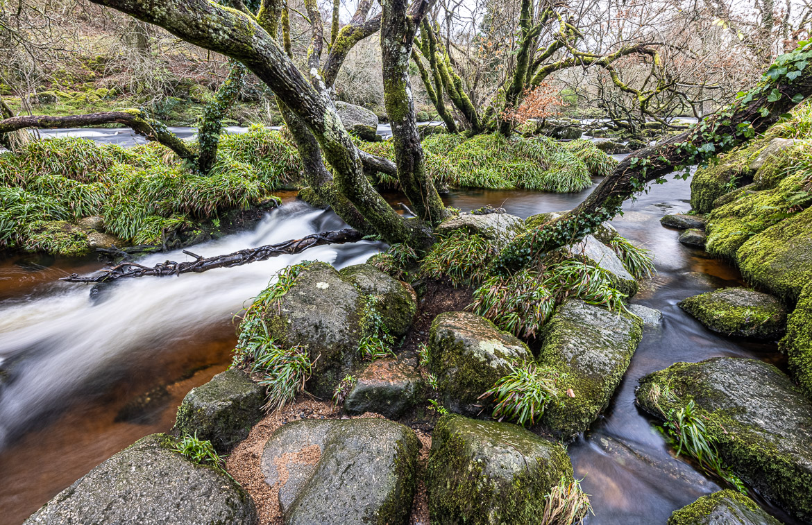 River Dart near Hexworthy and St. Raphael’s Church in December. The trees have now lost their leaves.