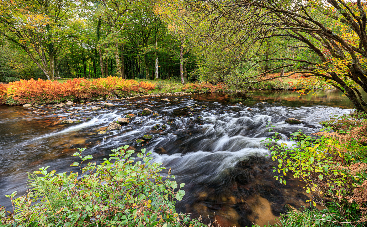 River Dart at Holne Chase. The utumn colours beginning to show (mid October)