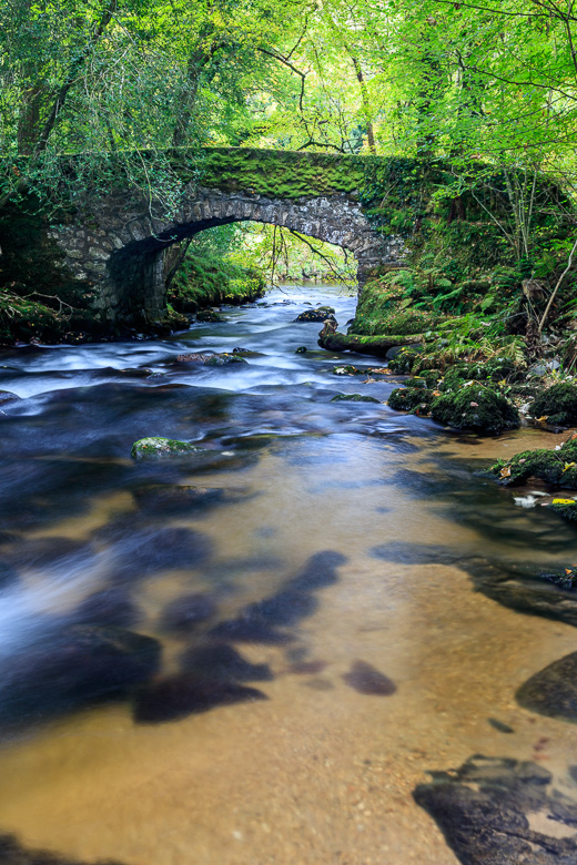 Looking downstream along River Webburn towards Buckland Bridge