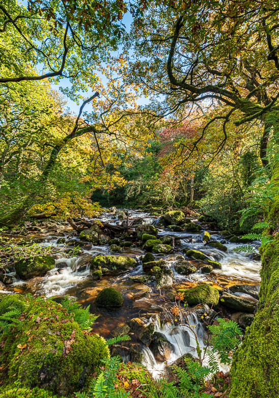 River Plym near the footbridge at Dewerstone Woods