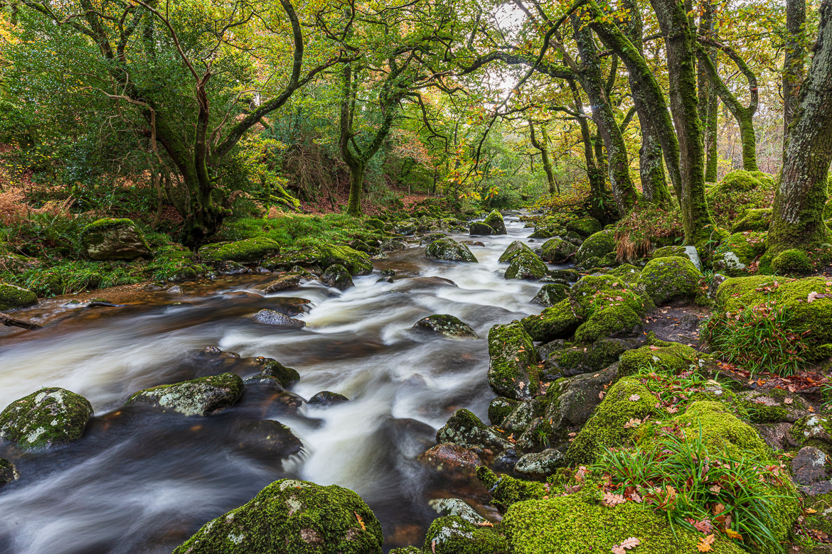 Looking downstream along the River Plym