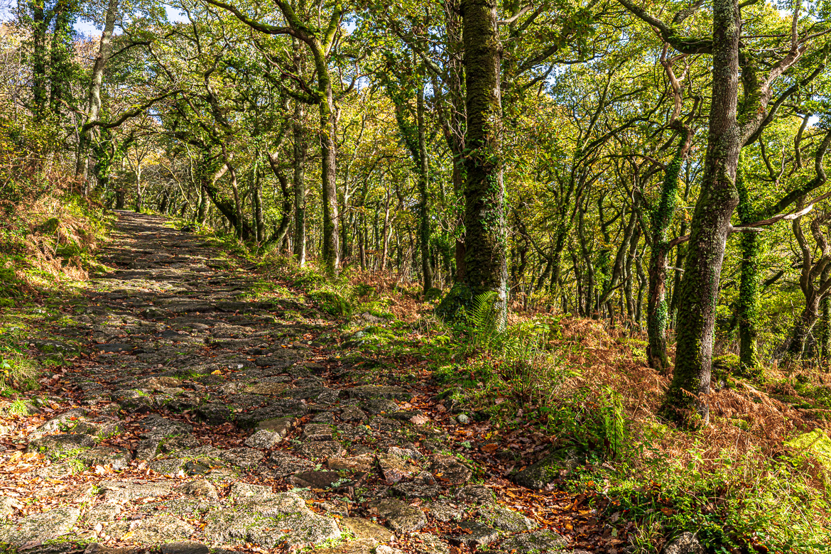 The footpath climbing up the hillside was well paved