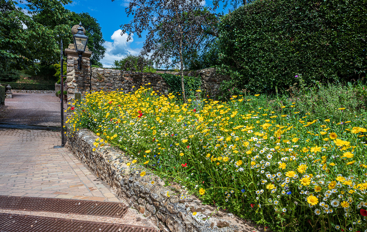 The entrance to the Manor with wildflowers planted at one side