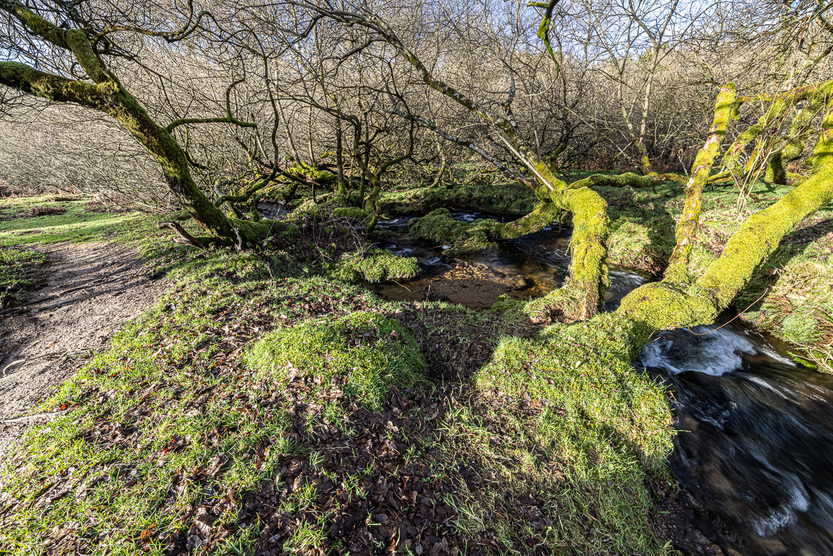 To the left is the well-trodden path that I followed