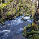 The Clapper Bridge is difficult to see but is at the far end of the stream