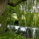 River Avon passed by just towards the end of the grounds of the Manor