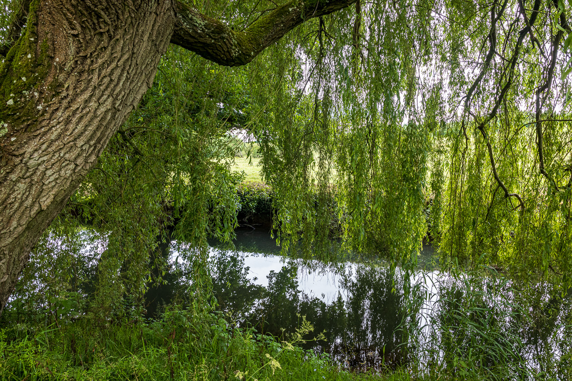 River Avon passed by just towards the end of the grounds of the Manor