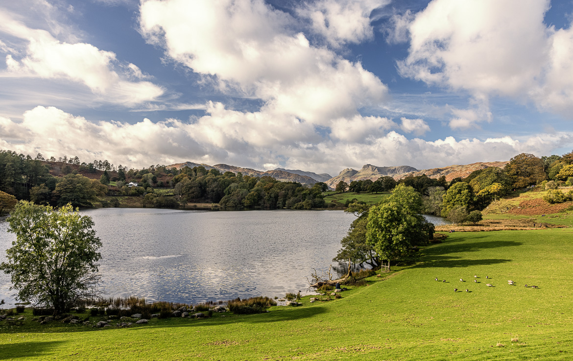 Looking northwest towards Langdale from Laughrigg Tarn