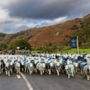 At the Borrowdale valley the road was blocked!