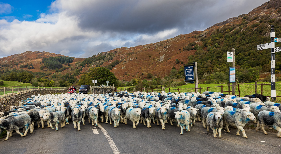 At the Borrowdale valley the road was blocked!